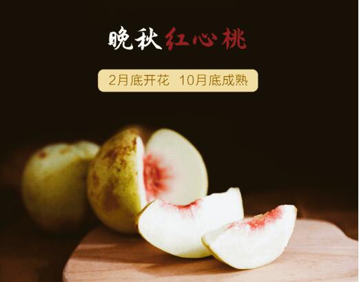 ����Ҽ�������������