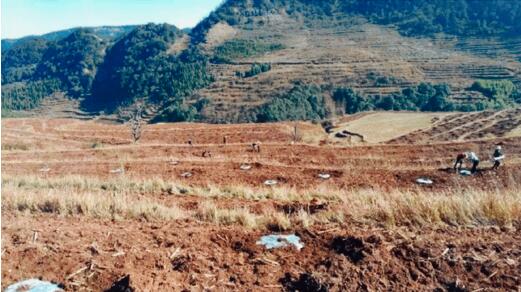 ����Ҽ�������������